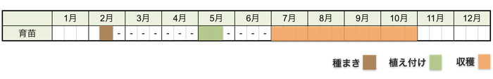 ナス(茄子)の栽培時期・栽培スケジュール
