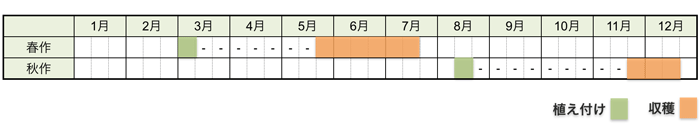ジャガイモの栽培時期・栽培スケジュール