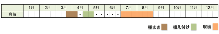 カボチャの栽培時期・栽培スケジュール