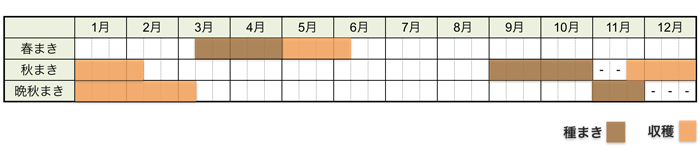 ホウレンソウの栽培時期・栽培スケジュール