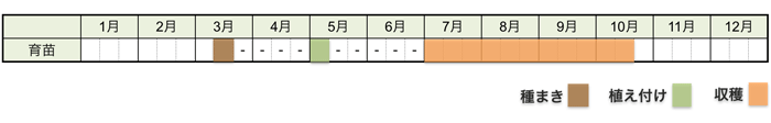 トマトの栽培時期・栽培スケジュール