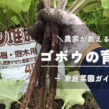 ゴボウの育て方・栽培のコツ（袋栽培） -家庭菜園ガイド-