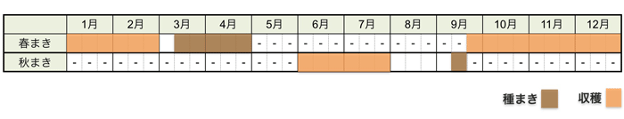 ゴボウの栽培時期・栽培スケジュール