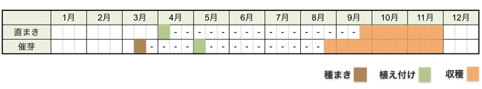 サトイモ(里芋)の栽培時期・栽培スケジュール