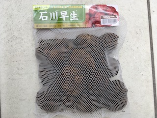 里芋の種芋(石川早生)