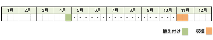ヤマイモ(山芋・長芋)の栽培時期・栽培スケジュール