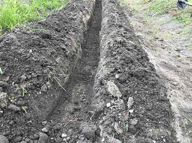 溝肥に土を被せる