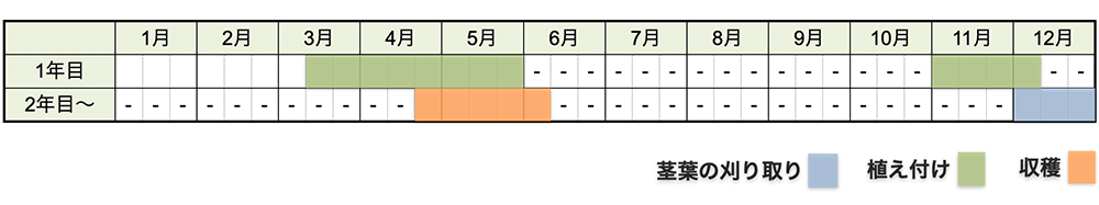 アスパラガスの栽培時期・栽培スケジュール(大苗から育てる場合)