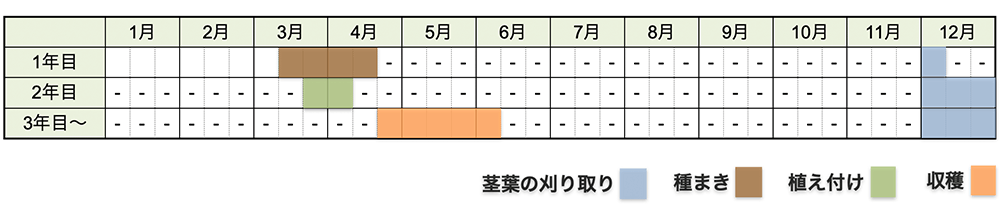 アスパラガスの栽培時期・栽培スケジュール(種から育てる場合)