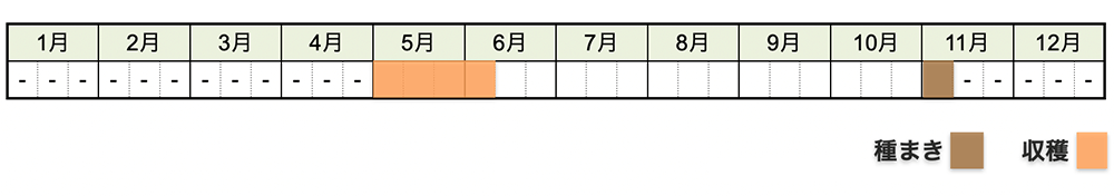 エンドウ(えんどう豆)の栽培時期・栽培スケジュール
