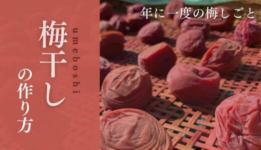 自家製 梅干しの作り方