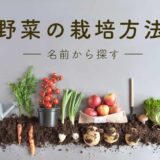 野菜の栽培方法（名前から探す）