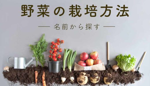 野菜の栽培方法