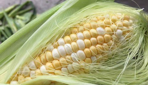 トウモロコシの栽培方法 育て方のコツ やまむファーム