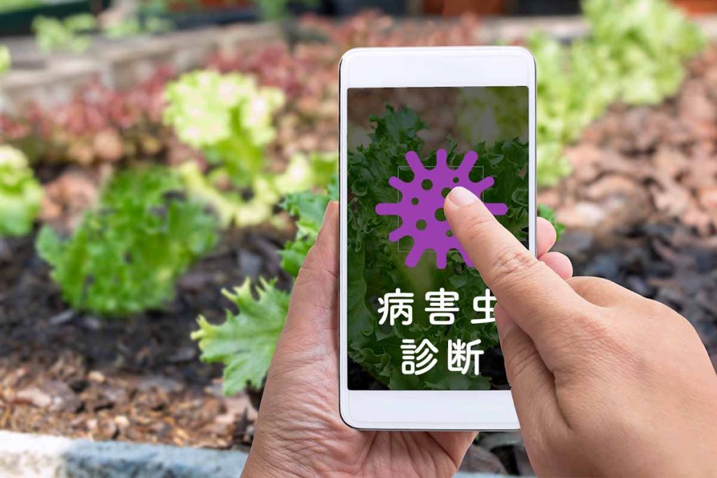 plant-diagnose-ai-1024x683.jpg