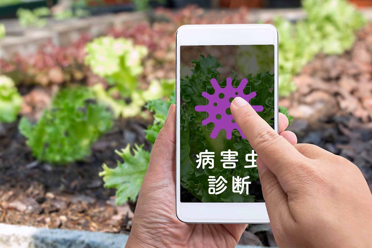 写真から病害虫診断ができるスマホアプリ