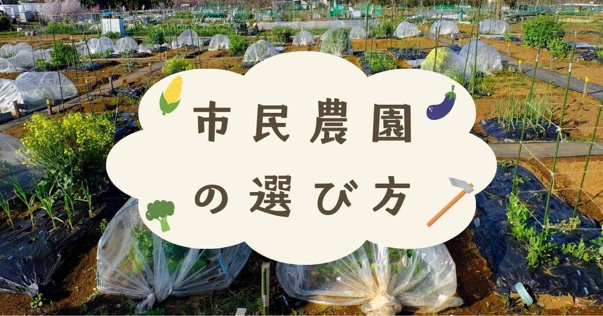 市民農園（貸し農園）の種類と選び方 | やまむファーム