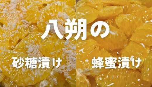 八朔（ハッサク）の砂糖漬け・ハチミツ漬けレシピ