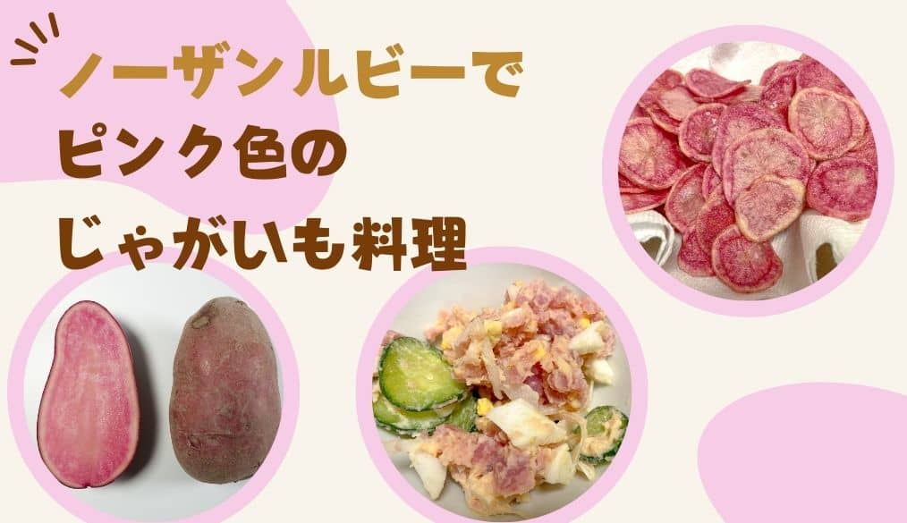 ノーザンルビーでピンク色のジャガイモ料理を作ってみた