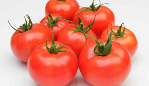 トマトの基礎知識