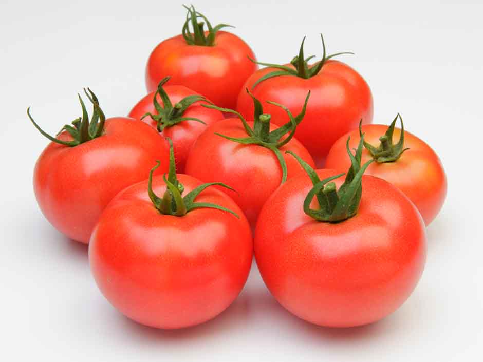 トマトの基礎知識