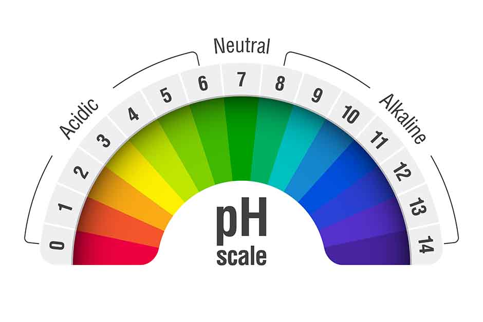 酸性度（pH）とは