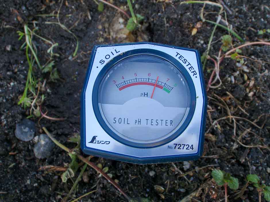 土壌酸度計でpH値を見る