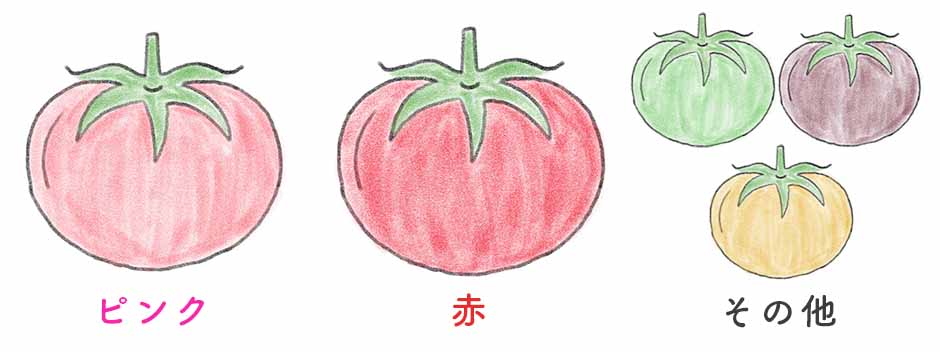 トマトの色による分類