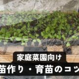 家庭菜園の「苗作り」入門!失敗しない育苗のコツ