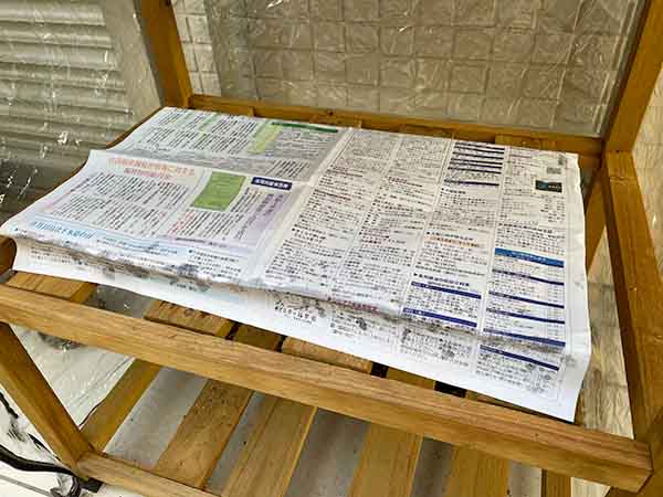 セルトレイに新聞紙をかけて乾燥を防ぐ