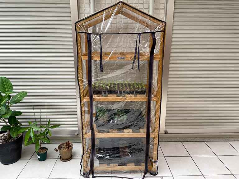 庭やベランダで作る簡易な育苗ハウス・ビニール温室 | やまむファーム
