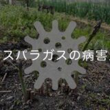 アスパラガスの病害虫