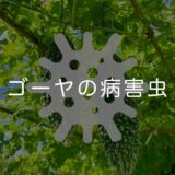 ゴーヤ(ニガウリ)の病害虫