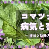 コマツナ（小松菜）の病気と害虫｜症状の特徴と防除方法