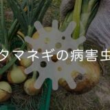 タマネギ(玉ねぎ)の病害虫