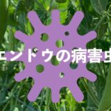 エンドウ（えんどう豆）の病害虫