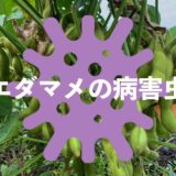 エダマメ（枝豆）の病害虫