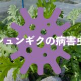 シュンギク（春菊）の病害虫