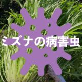 ミズナ（水菜）の病害虫