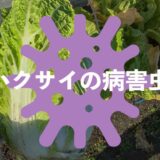 ハクサイ（白菜）の病害虫