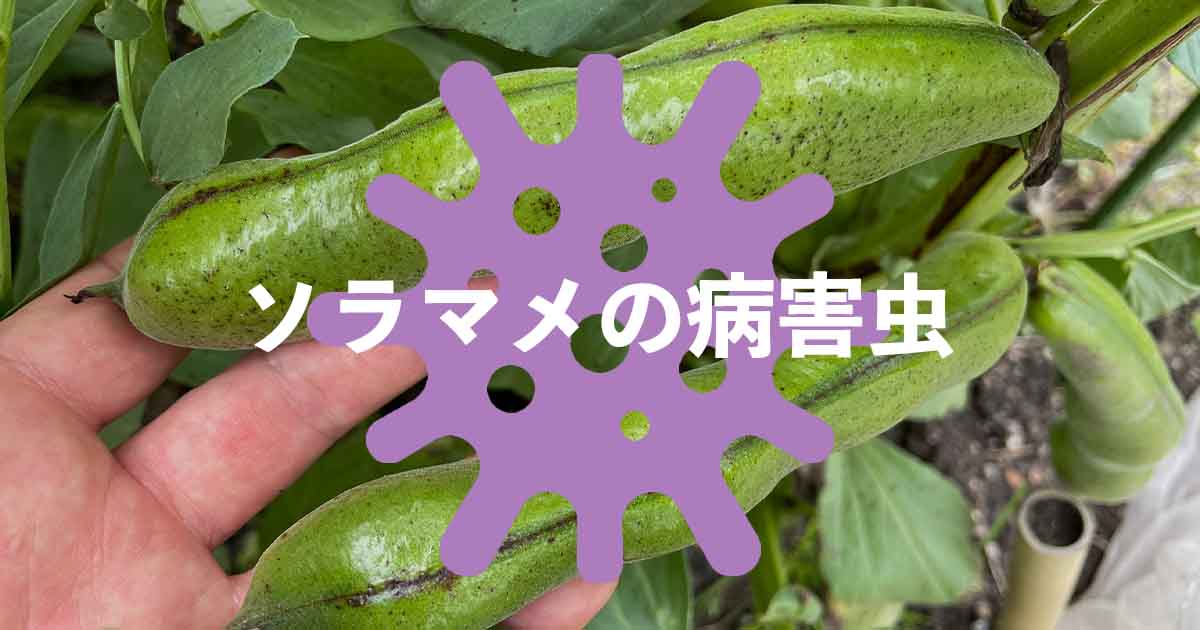 病気