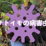 サトイモ（里芋）の病害虫