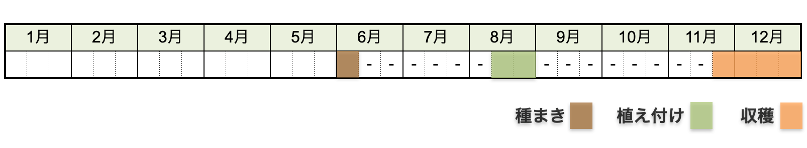 セロリの栽培時期・栽培カレンダー