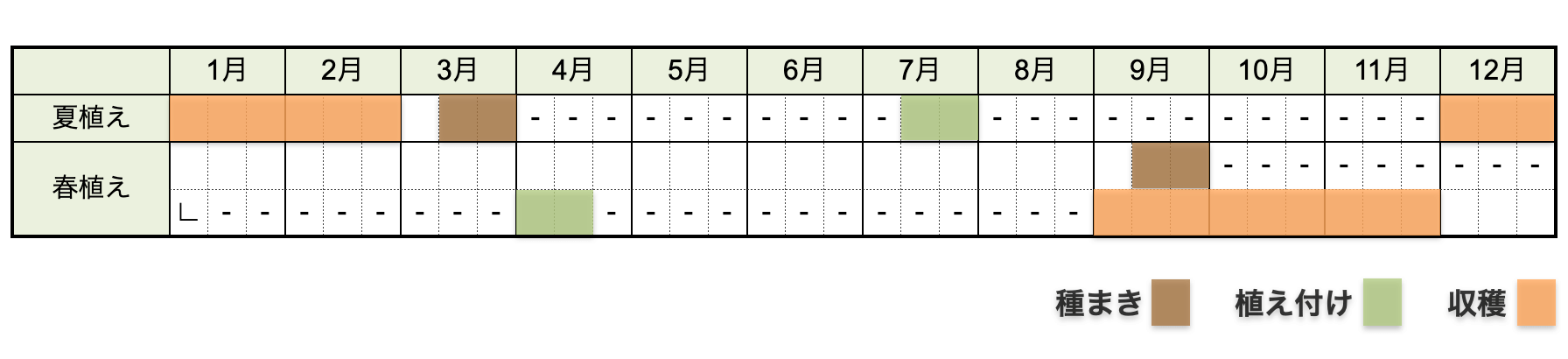 ネギ（長ネギ・白ネギ・根深ネギ）の栽培時期・栽培カレンダー