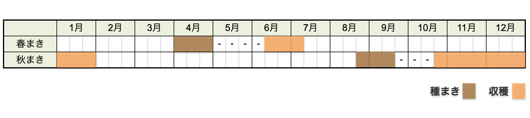 ダイコン（大根）の栽培時期・栽培カレンダー