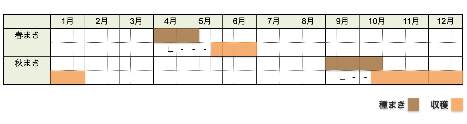 シュンギク（春菊）の栽培時期・栽培カレンダー