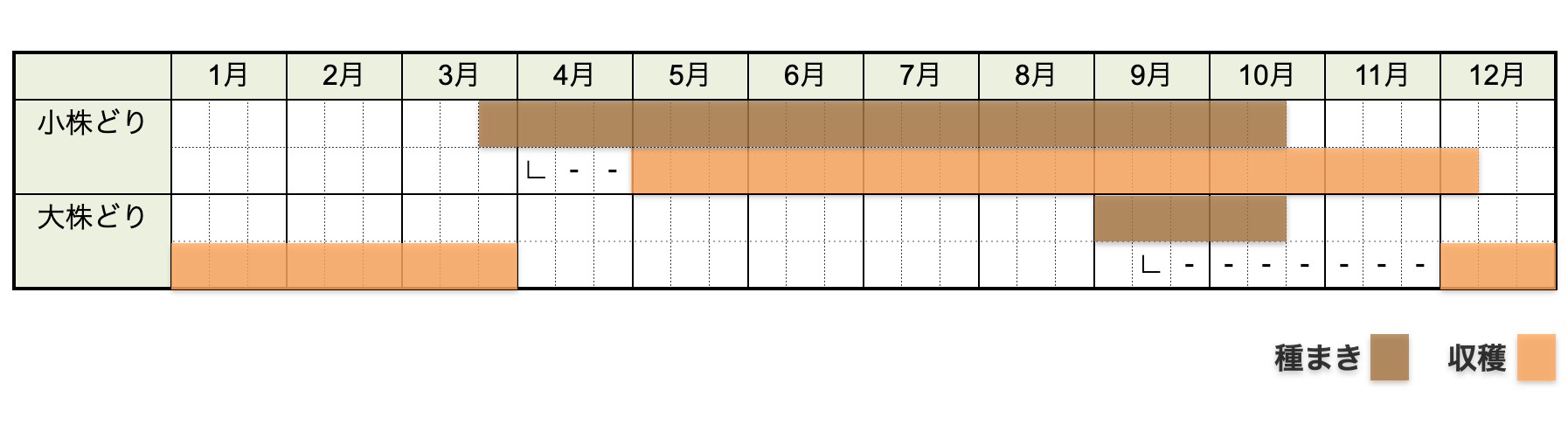 ミズナ（水菜）の栽培時期・栽培カレンダー