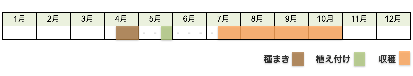 シソの栽培時期・栽培カレンダー