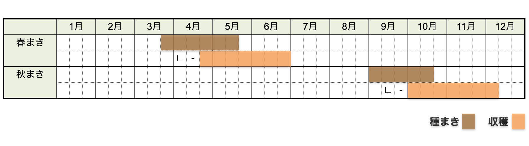 ラディッシュの栽培時期・栽培カレンダー