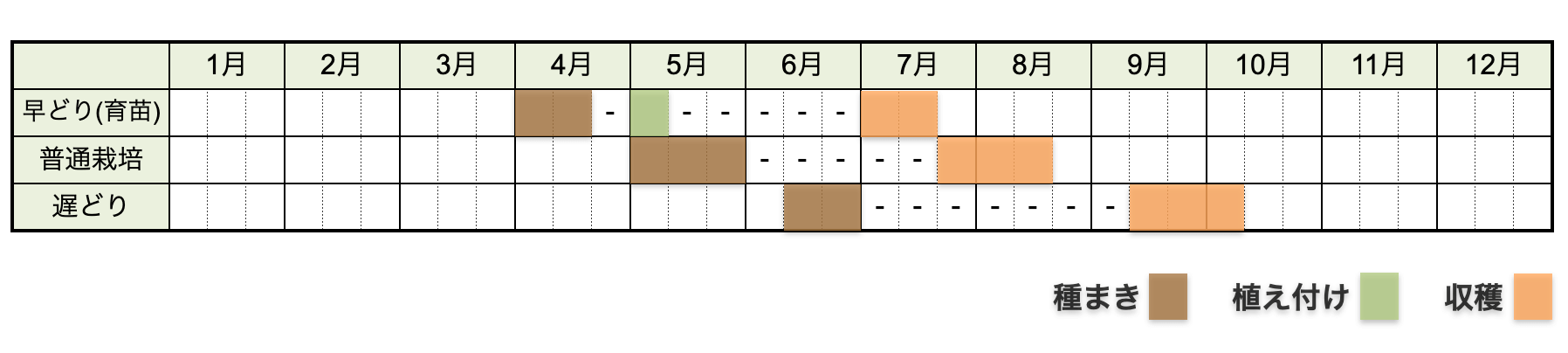 エダマメ（枝豆）の栽培時期・栽培カレンダー